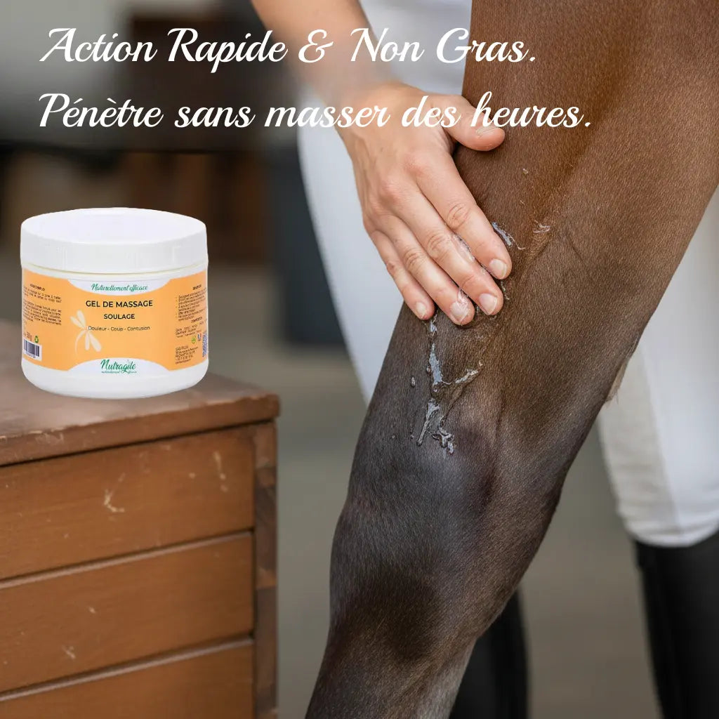 Gel arnica cheval Nutragile : pénétration rapide pour soulagement immédiat.