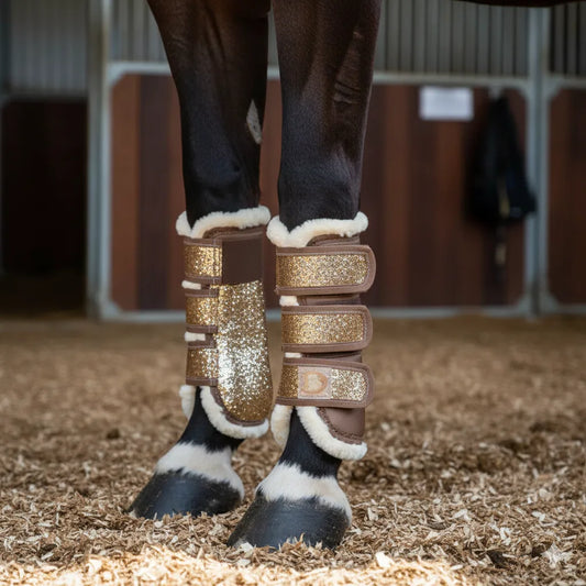 Guêtres de protection dorées portées par un cheval de dressage.