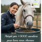 Avis client positif sur l'efficacité de l'Harpagophytum pour cheval âgé.