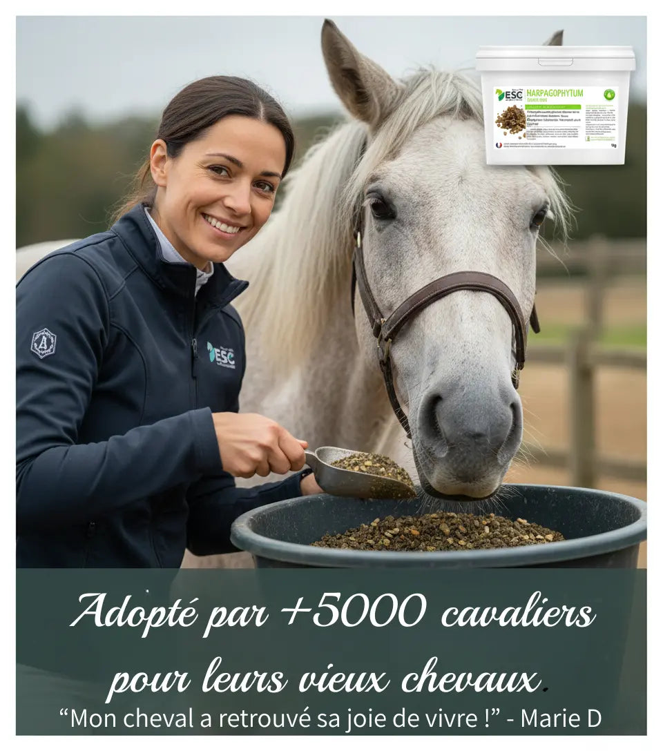 Avis client positif sur l'efficacité de l'Harpagophytum pour cheval âgé.
