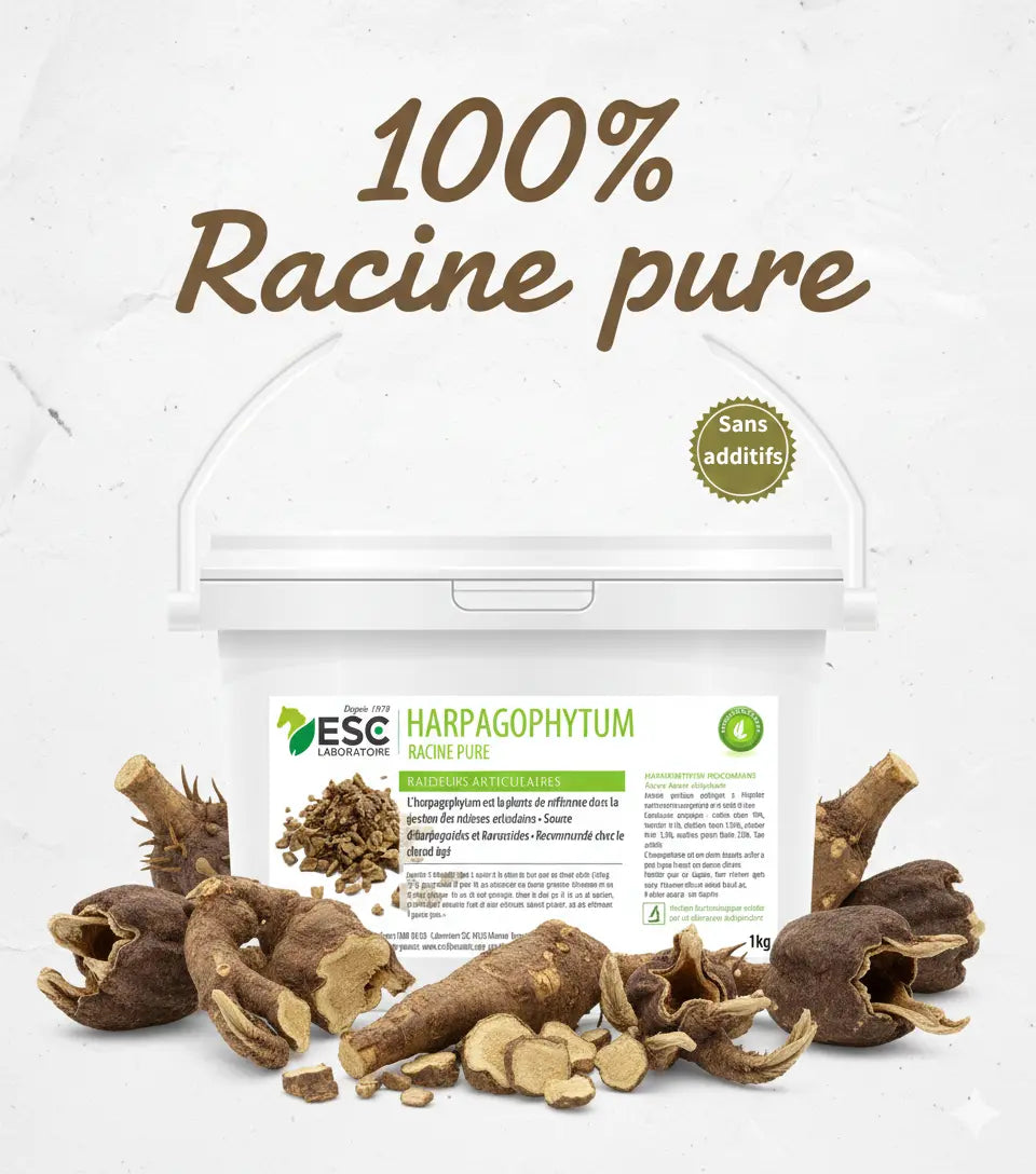 Seau Harpagophytum ESC Laboratoire 100% naturel pour articulations cheval.