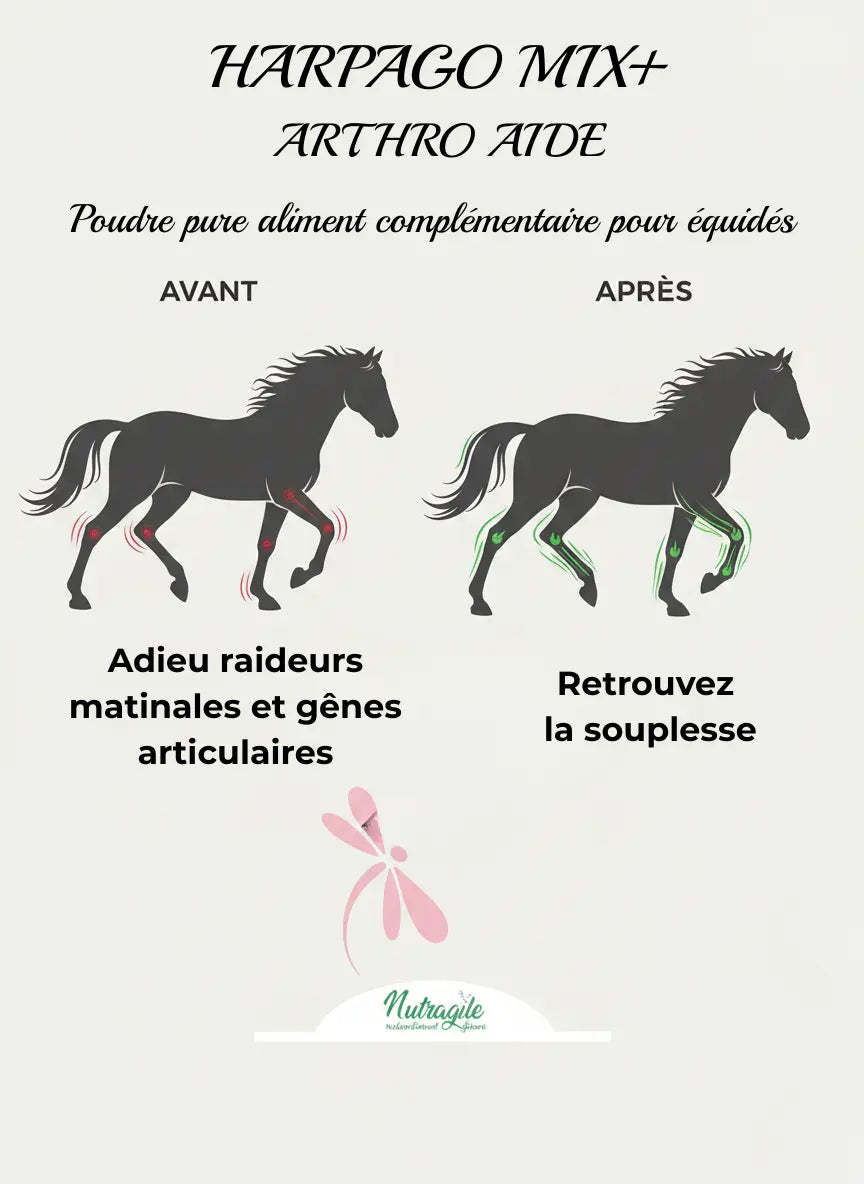 Complément articulations cheval Harpago Mix : avant/après souplesse cheval.