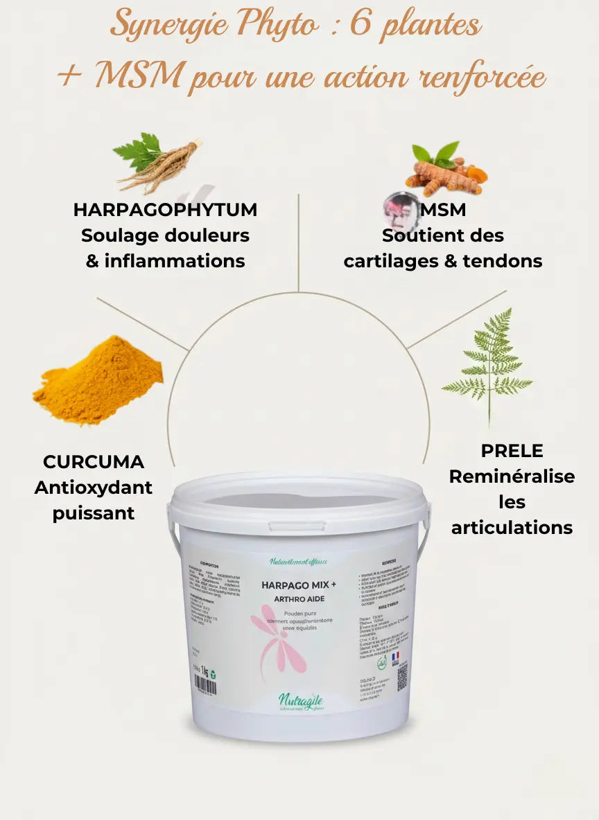 Ingrédients naturels Harpago Mix Nutragile pour arthrose cheval.