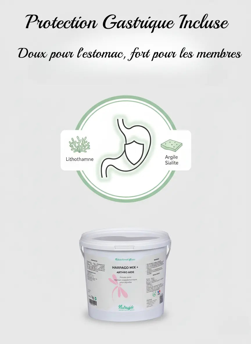 Harpago Mix Nutragile avec protection gastrique pour cheval sensible.