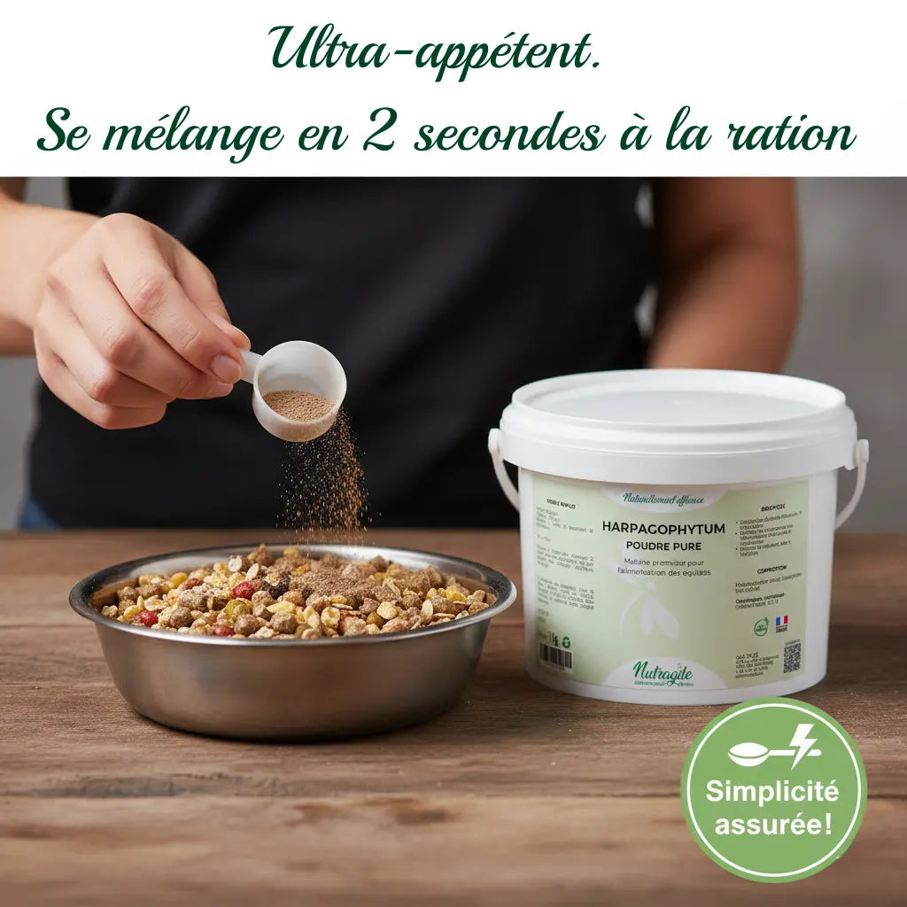 Utilisation facile de l'Harpagophytum en poudre sur la ration du cheval.