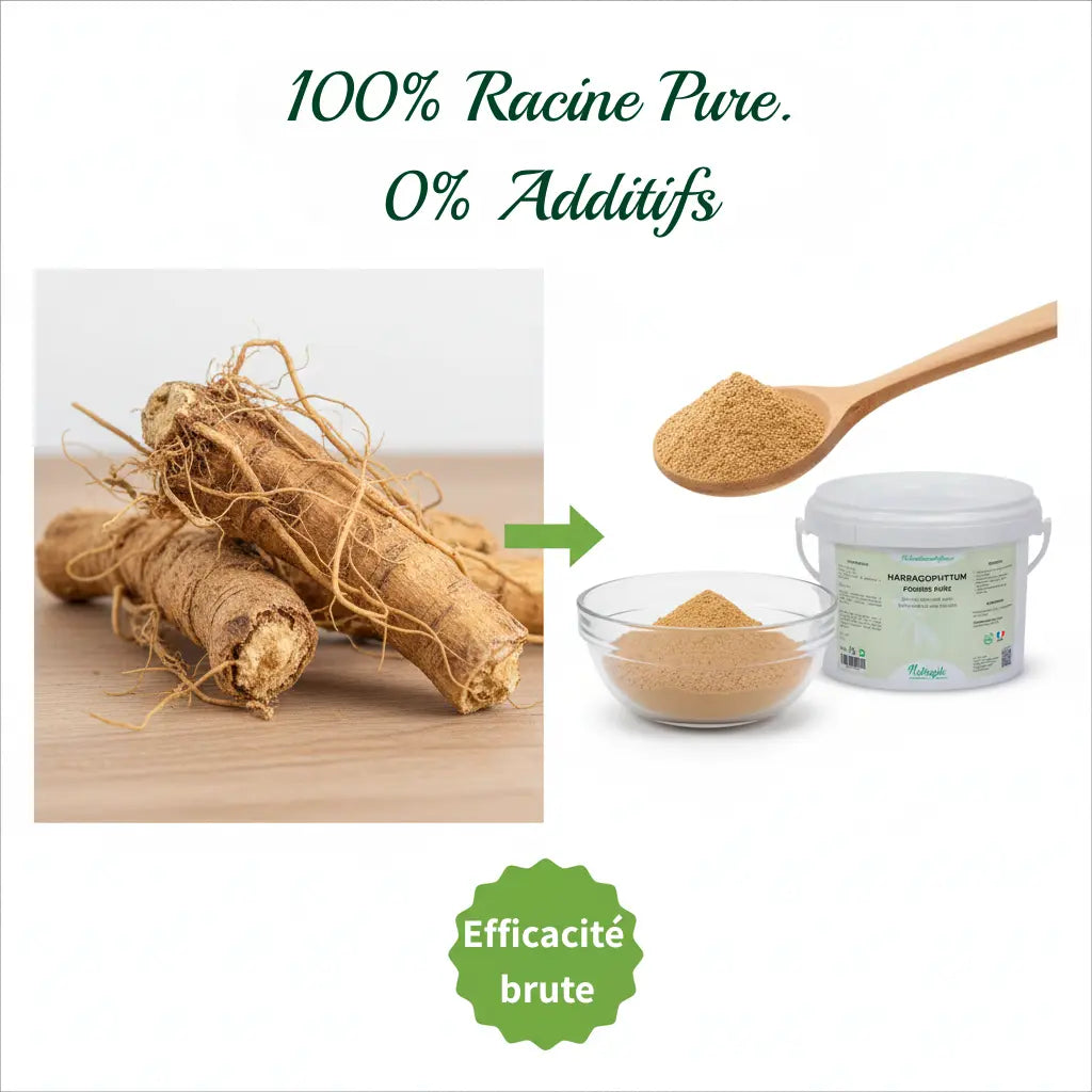 Poudre d'Harpagophytum pure Nutragile pour le confort articulaire du cheval.