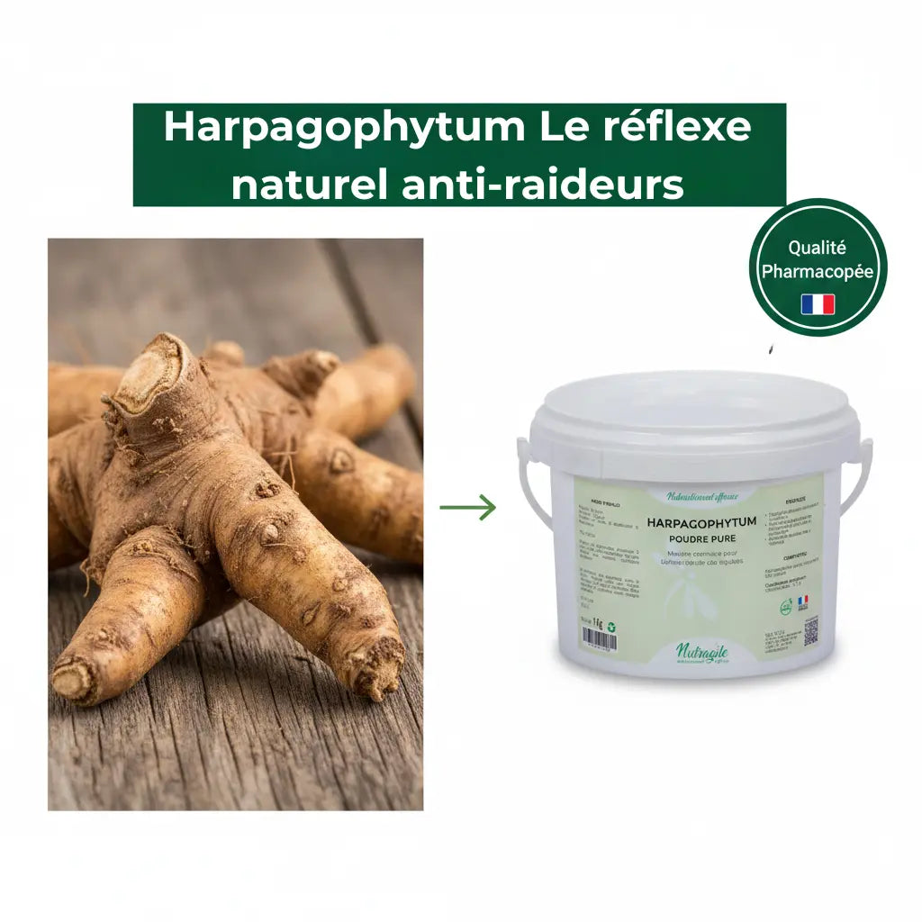 Complément alimentaire naturel Harpagophytum pour soulager l'arthrose chevaline.