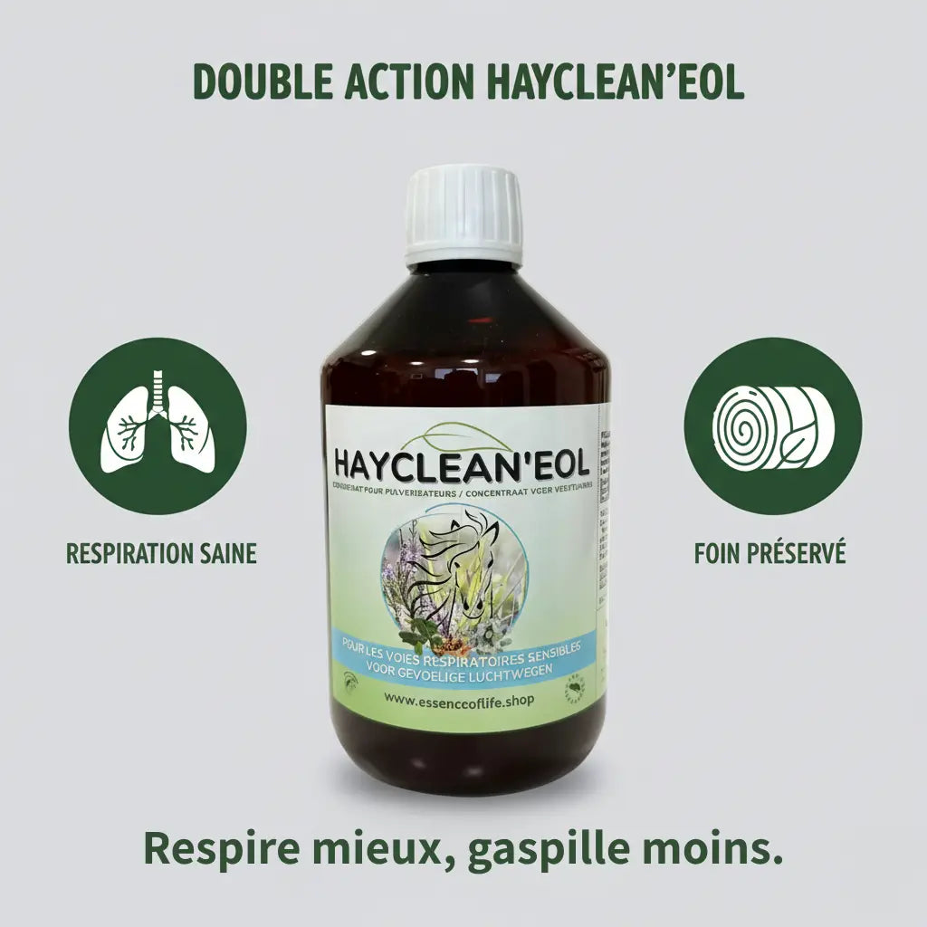Infographie bienfaits HayCleanEol : santé respiratoire et foin sain.