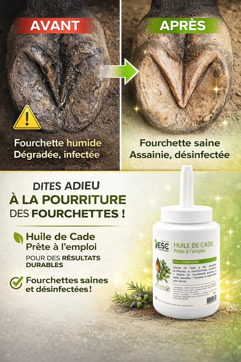 Avant après soin fourchette cheval avec huile de cade purifiante.