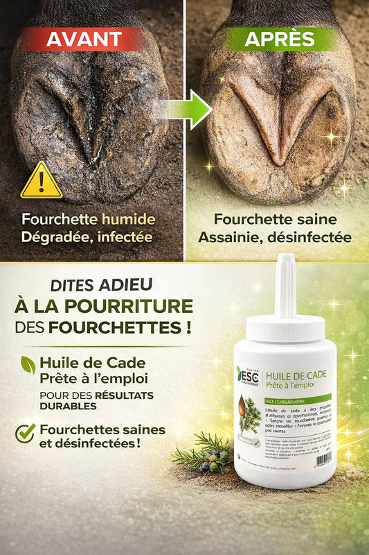 Avant après soin fourchette cheval avec huile de cade purifiante.
