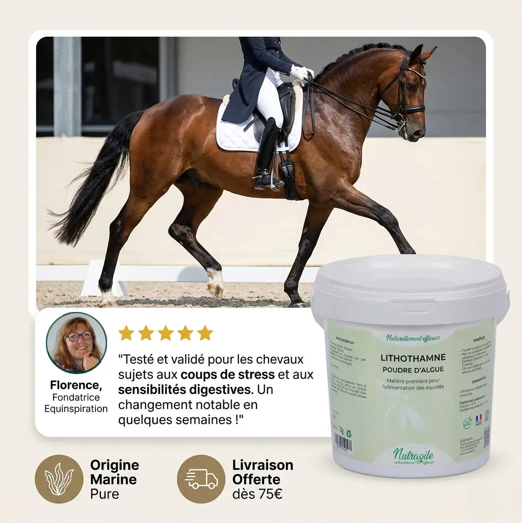 Complément alimentaire naturel cheval : lithothamne de qualité recommandé pour l'équilibre acido-basique.