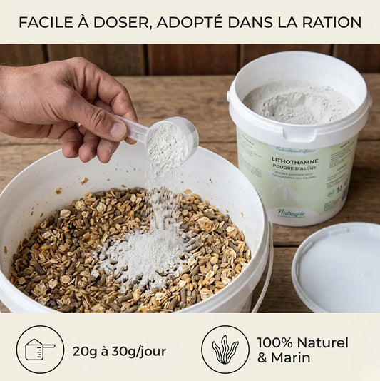 Poudre lithothamne Nutragile : dosage facile dans la ration quotidienne du cheval.