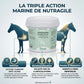 Infographie bienfaits lithothamne cheval : action estomac, os et sabots solides.