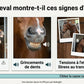 Signes ulcères et acidité cheval : bâillement, stress, douleurs gastriques résolues par le lithothamne.