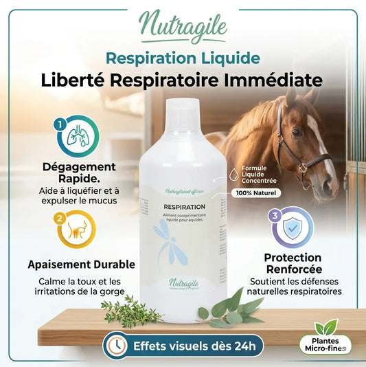 Cheval en compétition avec une respiration fluide grâce au complément Nutragile.