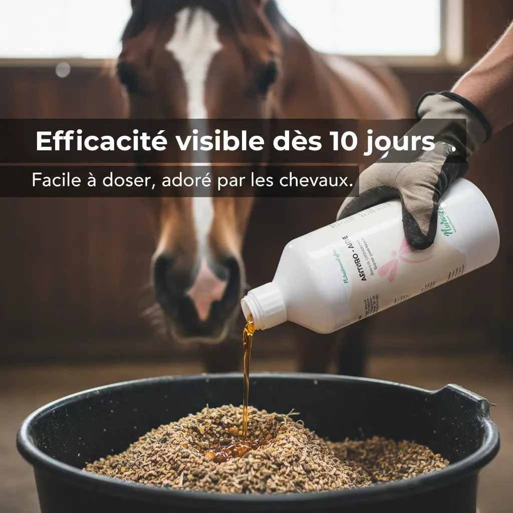 Administration facile de l'Arthro Aide liquide sur la ration du cheval pour une action rapide.