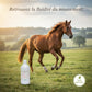Cheval au galop montrant une souplesse articulaire optimale avec Arthro Aide.