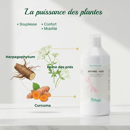 Ingrédients naturels Harpagophytum et Curcuma pour le confort articulaire du cheval.