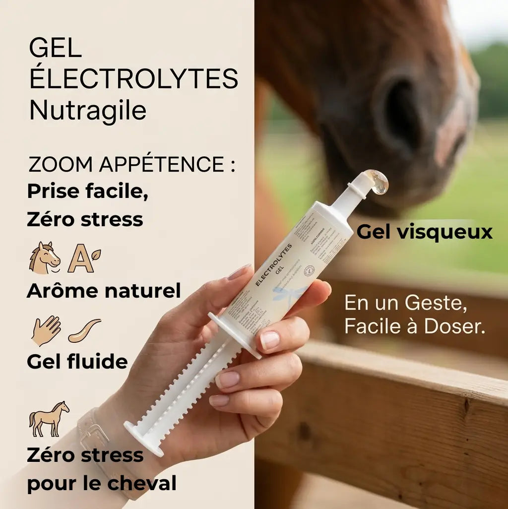 Administration facile d'électrolytes en gel Nutragile pour cheval stressé ou fatigué.