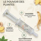 Ingrédients naturels Nutragile pour l'immunité et l'énergie du cheval.