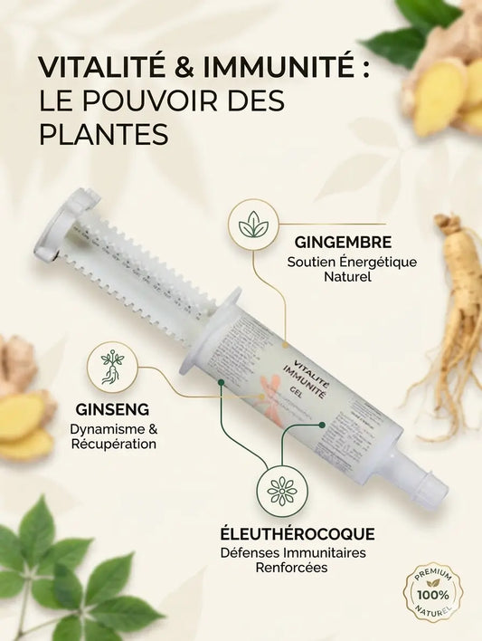 Ingrédients naturels Nutragile pour l'immunité et l'énergie du cheval.