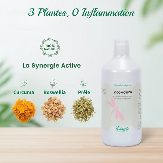 Complément naturel Nutragile : Curcuma, Boswellia et Prêle pour les articulations du cheval.