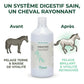 Comparaison avant/après : vitalité et pelage brillant du cheval avec Nutragile.