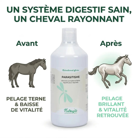 Comparaison avant/après : vitalité et pelage brillant du cheval avec Nutragile.