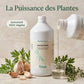Ingrédients naturels : ail, armoise et thym pour le parasitisme du cheval.