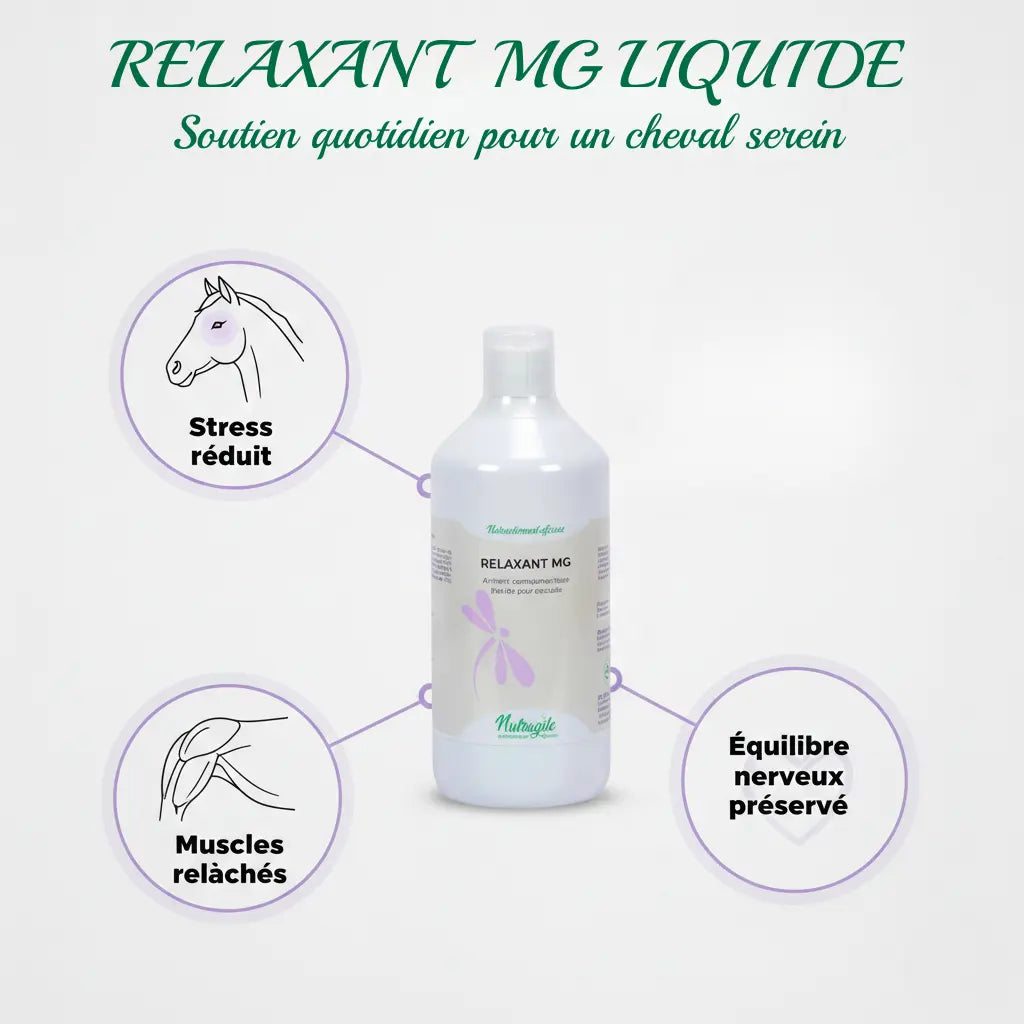 Schéma des bénéfices du magnésium liquide sur le stress et les muscles du cheval.