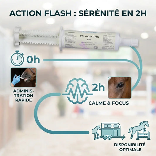 Infographie seringue magnésium cheval action rapide avant effort.