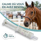 Cheval calme en concours grâce au magnésium Relaxant MG.