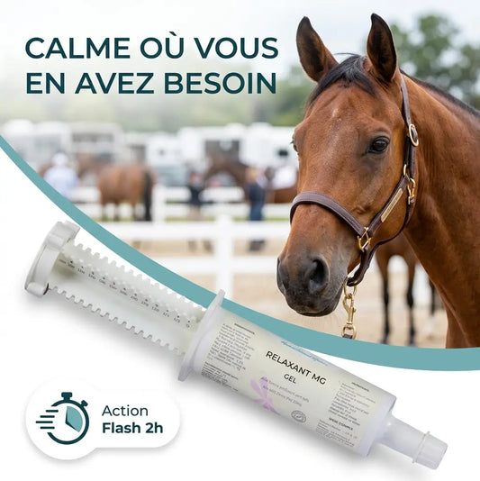 Cheval calme en concours grâce au magnésium Relaxant MG.