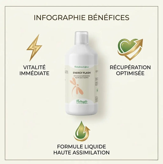 Infographie bienfaits Energy Flash : vitalité, endurance et récupération cheval.