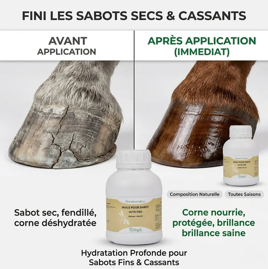 Avant-après huile sabot Nutragile : hydratation profonde corne cheval