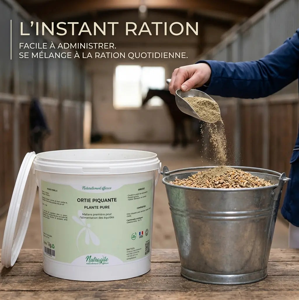 Utilisation ortie en poudre Nutragile dans la ration du cheval.