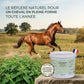 Cheval au galop boosté par l'ortie piquante naturelle Nutragile.