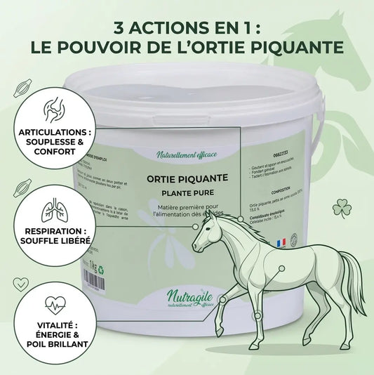 Ortie poudre cheval Nutragile : bénéfices articulations et respiration.