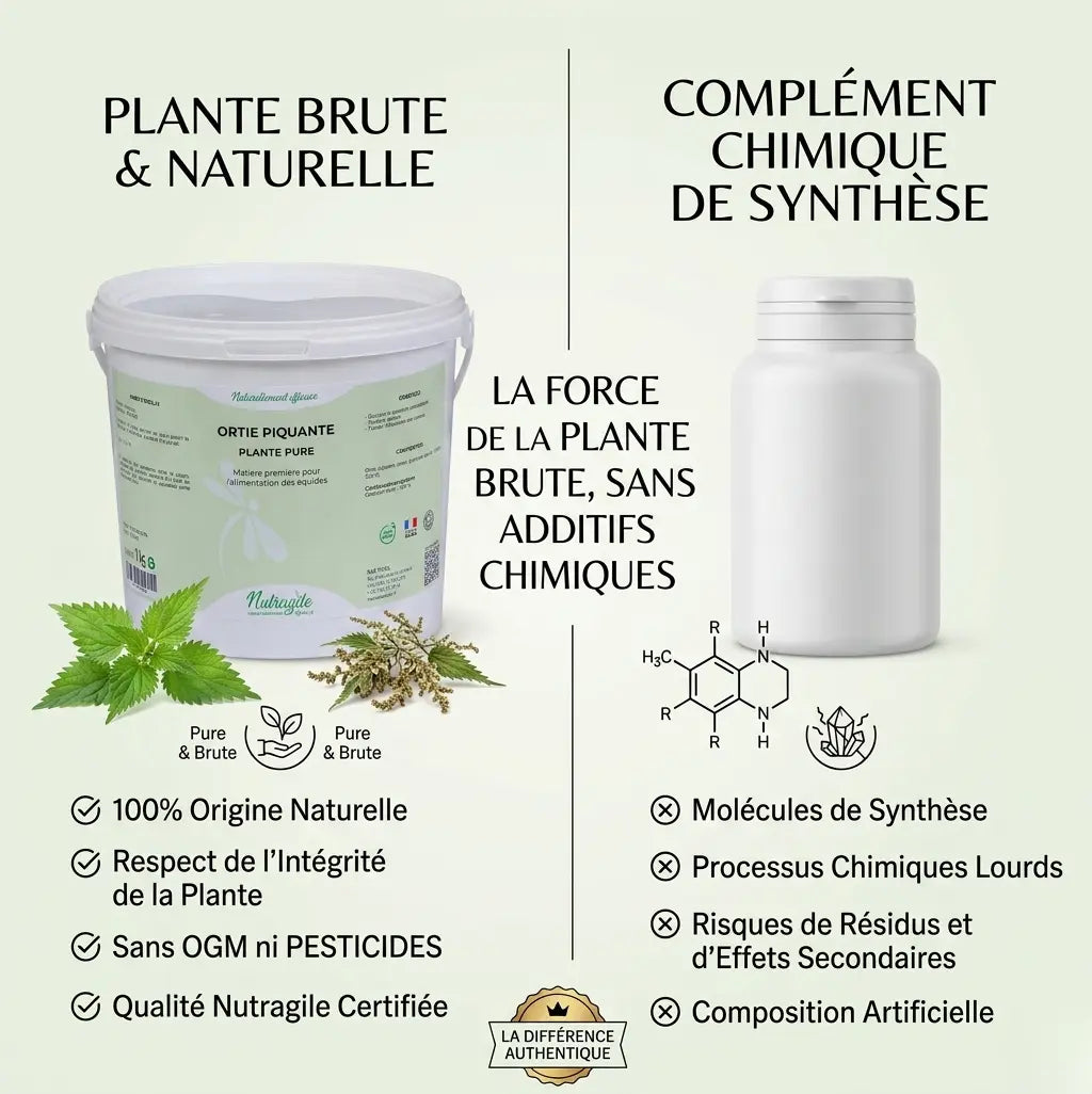 Ortie naturelle pour cheval Nutragile, alternative saine aux compléments.