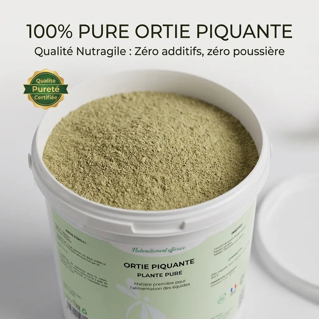 Poudre d'ortie pure Nutragile pour cheval, texture fine de haute qualité.