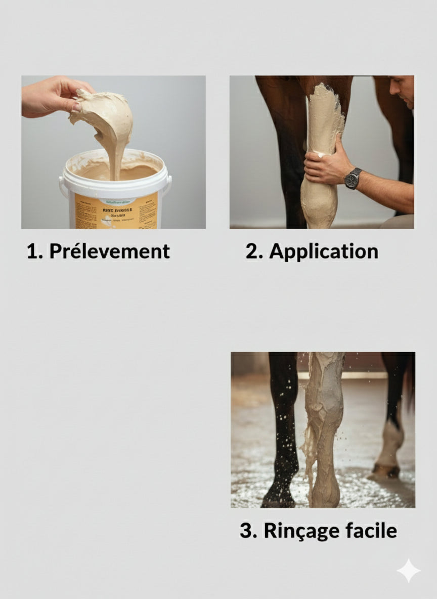 Mode d'emploi application argile Nutragile sur membres cheval