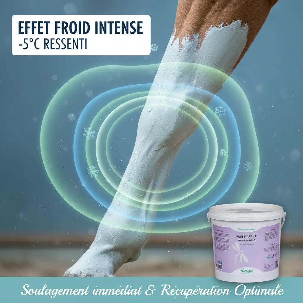 Argile Hydra-Marine Nutragile appliquée sur membre cheval pour effet froid.