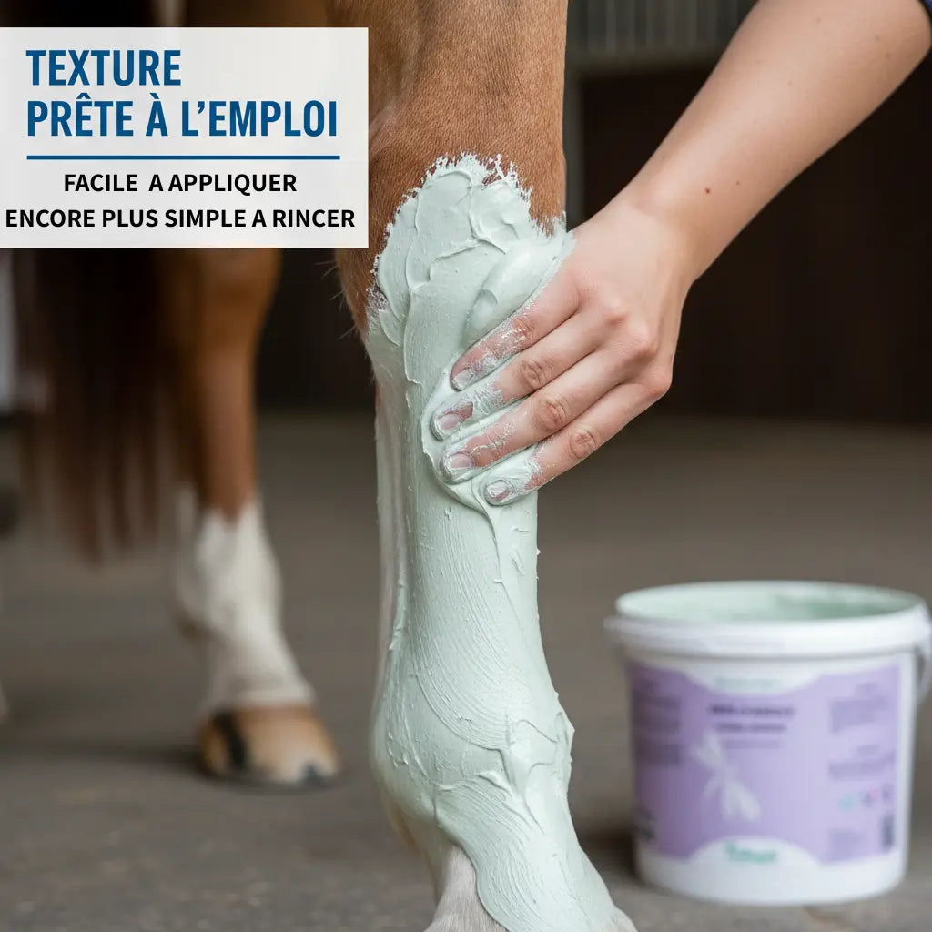 Application facile de la pâte d'argile Nutragile sur les tendons d'un cheval.
