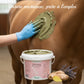 Argile Nutragile prête à l'emploi appliquée sur un  cheval pour la récupération.