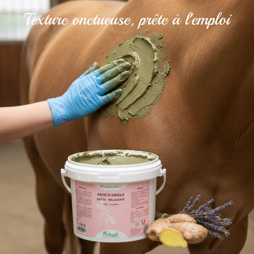Argile Nutragile prête à l'emploi appliquée sur un  cheval pour la récupération.