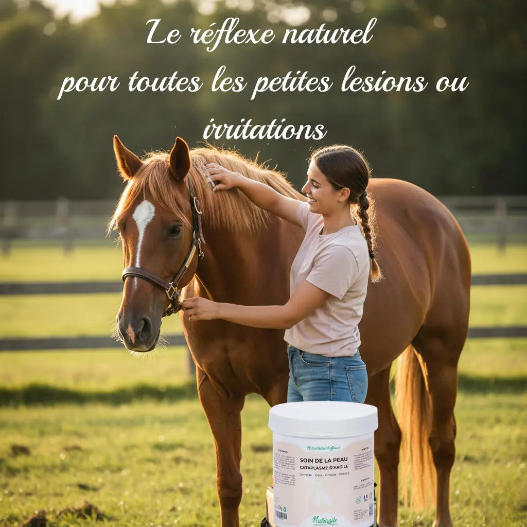 Application facile du cataplasme Nutragile au paddock.