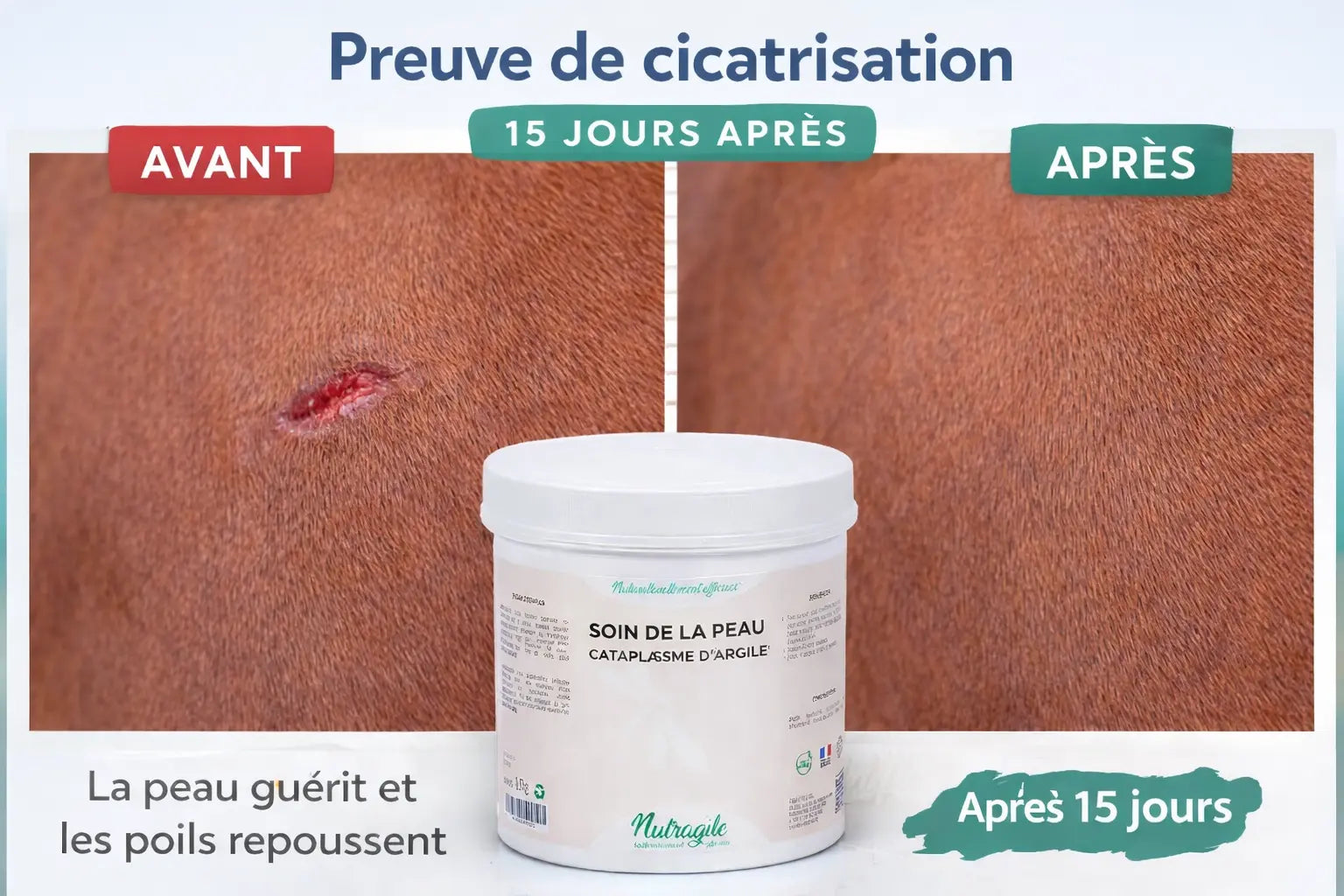Avant après soin dermite cheval avec argile à l'huile de cade.