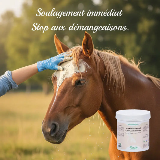 Argile Nutragile : apaisement immédiat de la dermite du cheval.