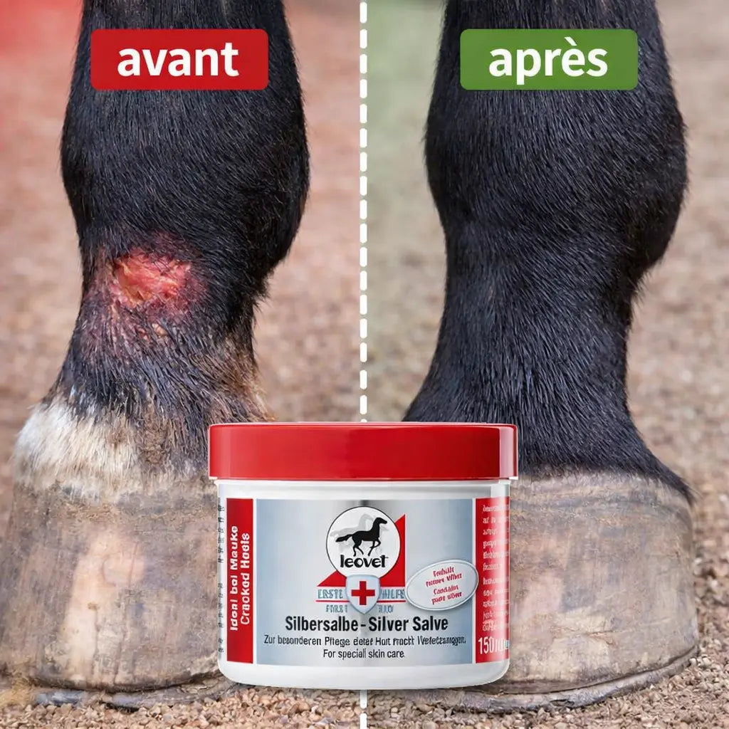 Avant après cicatrisation plaie cheval avec baume argent Leovet