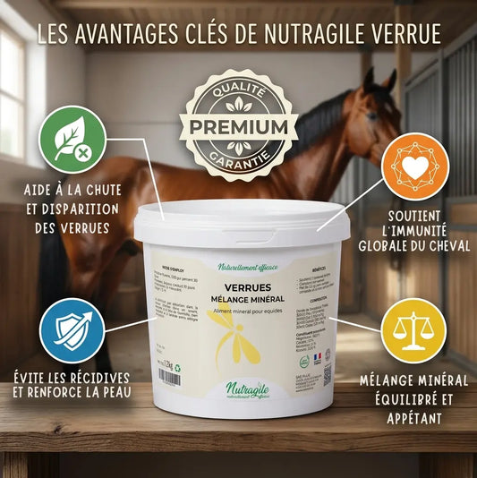 Nutragile Verrue : élimination naturelle des sarcoïdes et renforcement immunitaire équin.